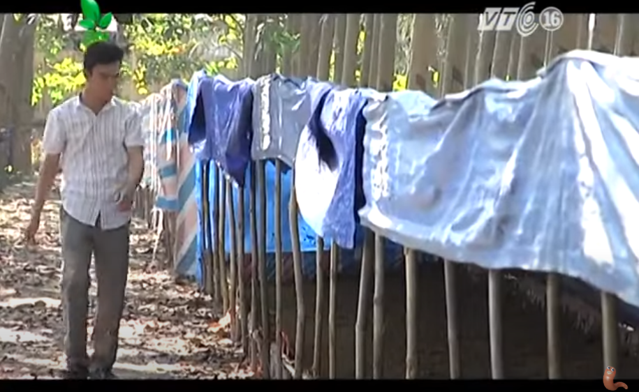 Chương Trình SAO THẦN&nbsp;NÔNG