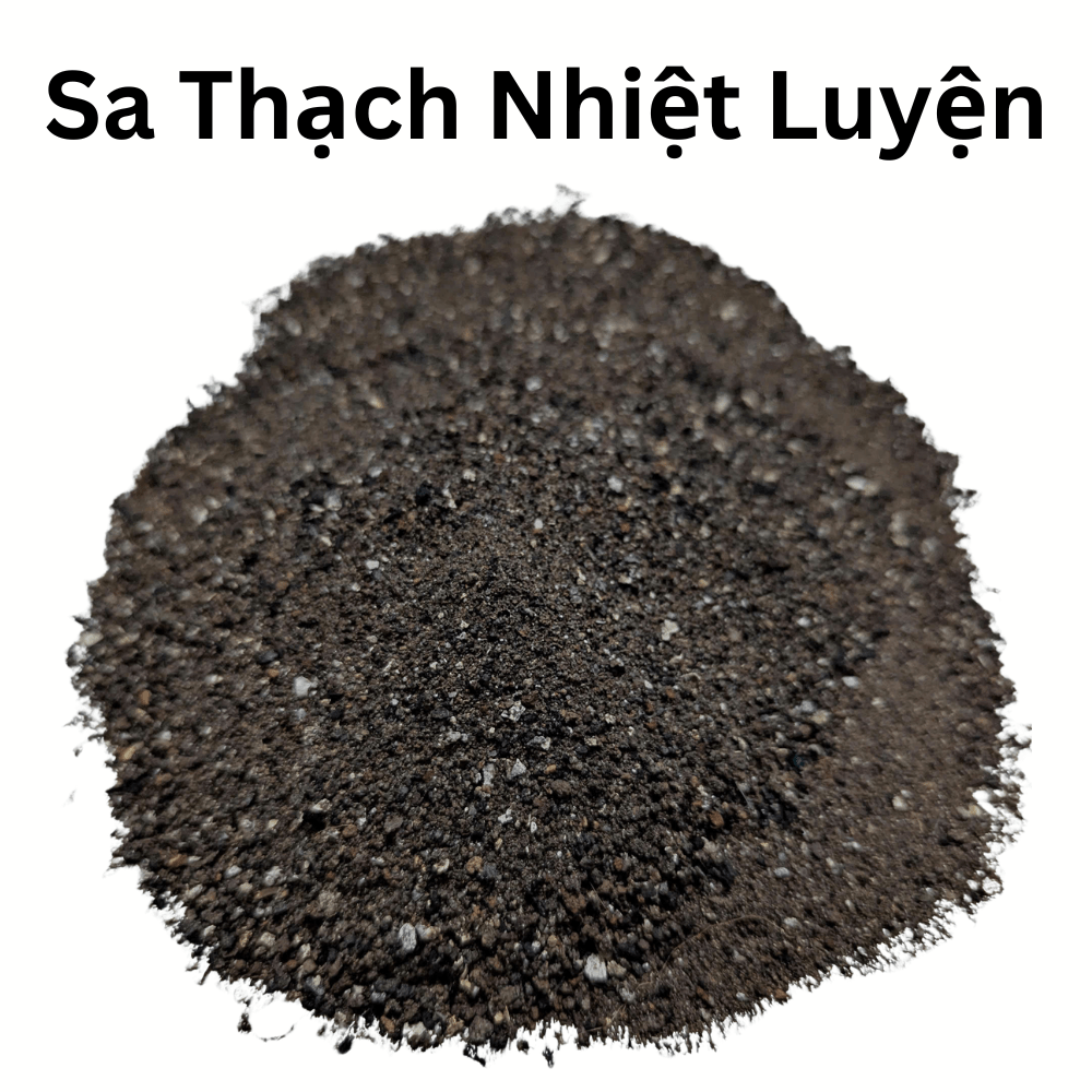 URBAN BREATH (SA THẠCH NHIỆT LUYỆN): “TẤM KHIÊN” CÁCH NHIỆT VÀ LIỆU PHÁP CHỮA LÀNH TỰ NHIÊN CHO CÂY&nbsp;PHỐ